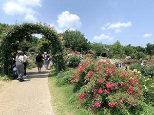 IMG_6708.JPG