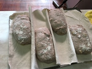 IMG_8699.JPG